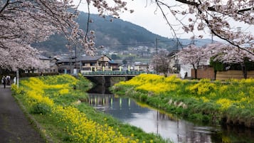 住宿陸地景觀