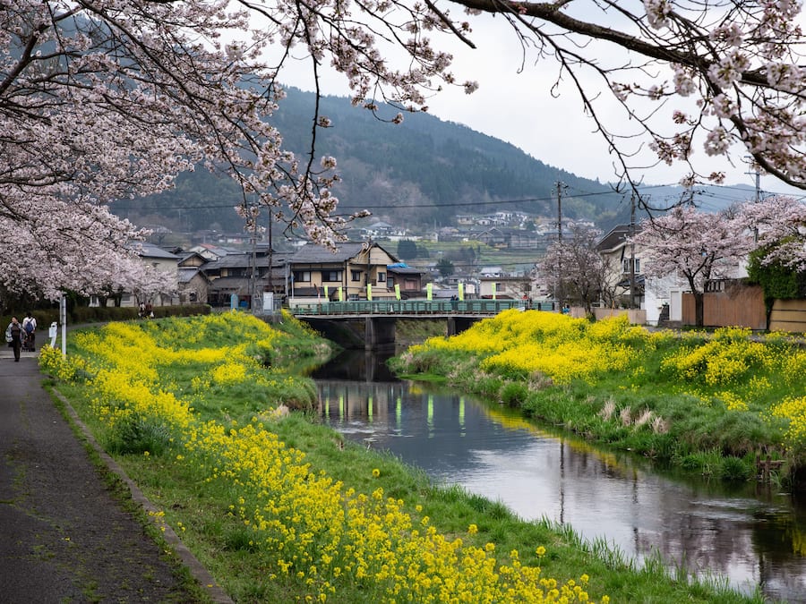 Land view from property