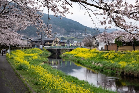 Land view from property