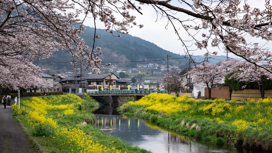 Japanese Onsen Ryokan Yufuin Tabinokura