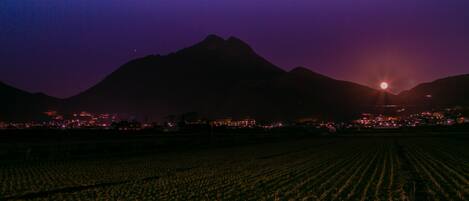 A nighttime landscape with a mountain silhouette, a field, and a distant cityscape with lights.