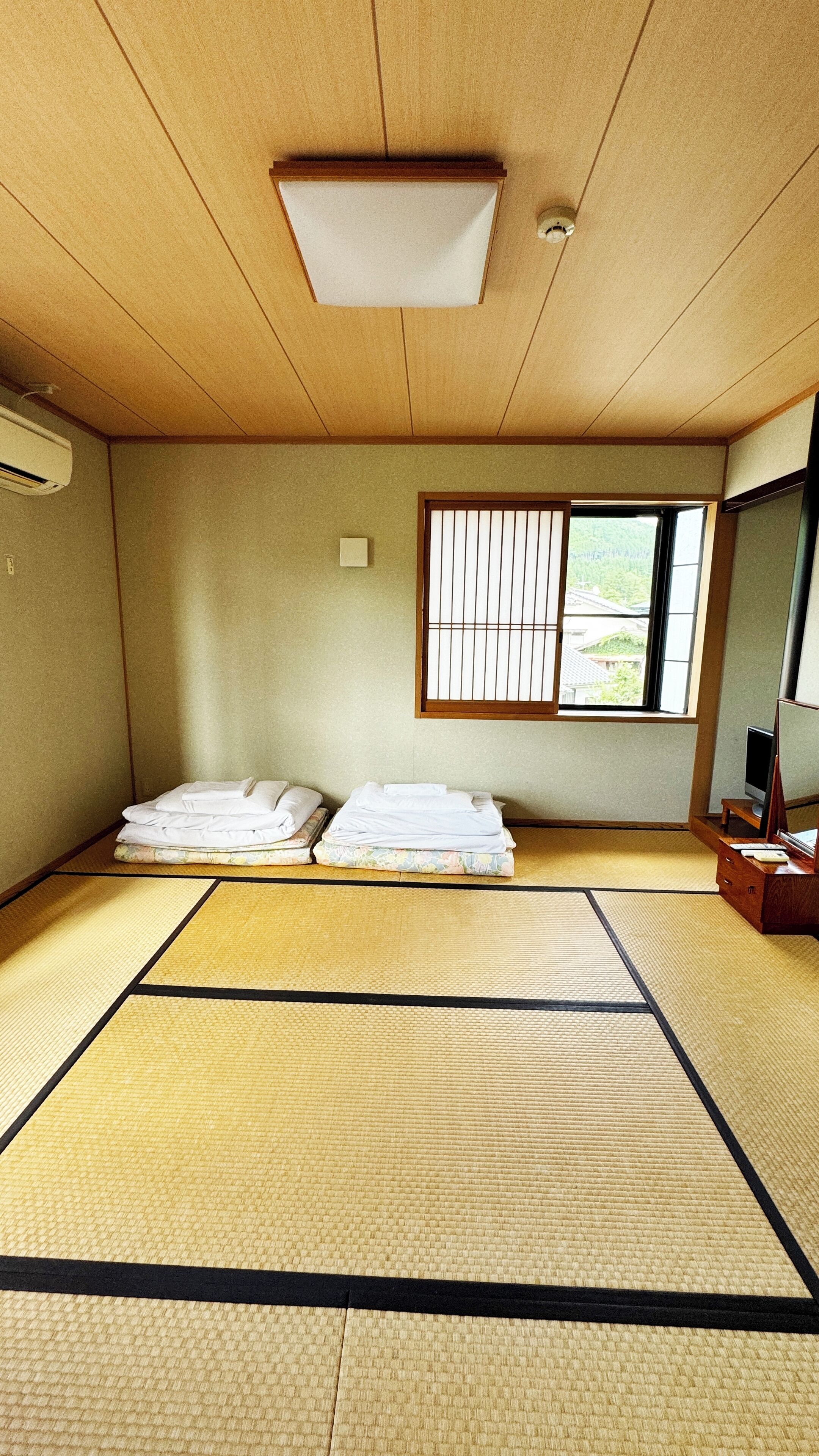A traditional Japanese room with tatami flooring, two tatami mats, a futon bed, a television, and a window with a view of greenery.