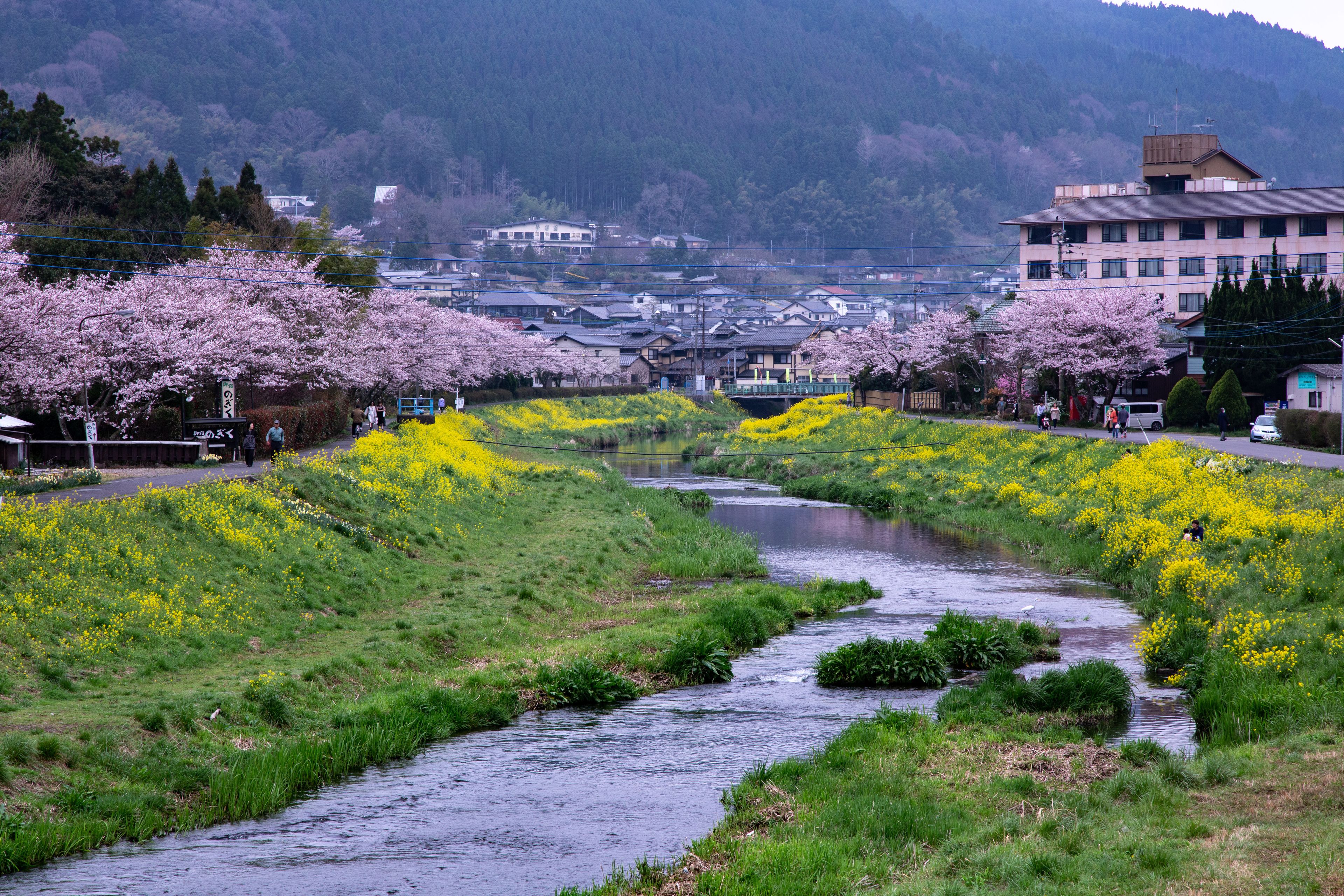 A river with a bridge, surrounded by greenery and buildings in the background.