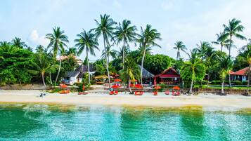 Ett semesterhotell vid stranden med palmer, en pool och solstolar.