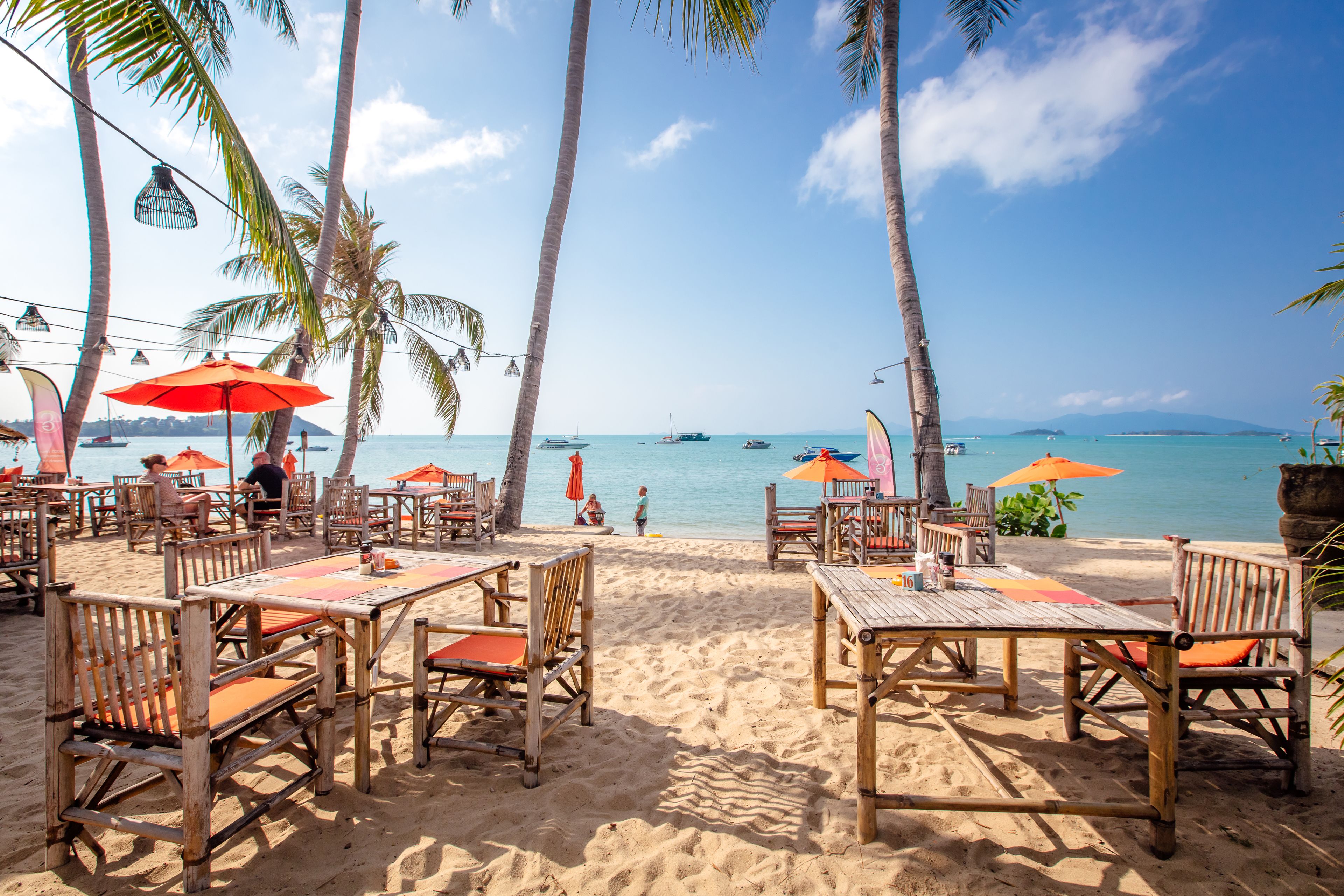 A beachside restaurant with outdoor seating, palm trees, and a view of the ocean.