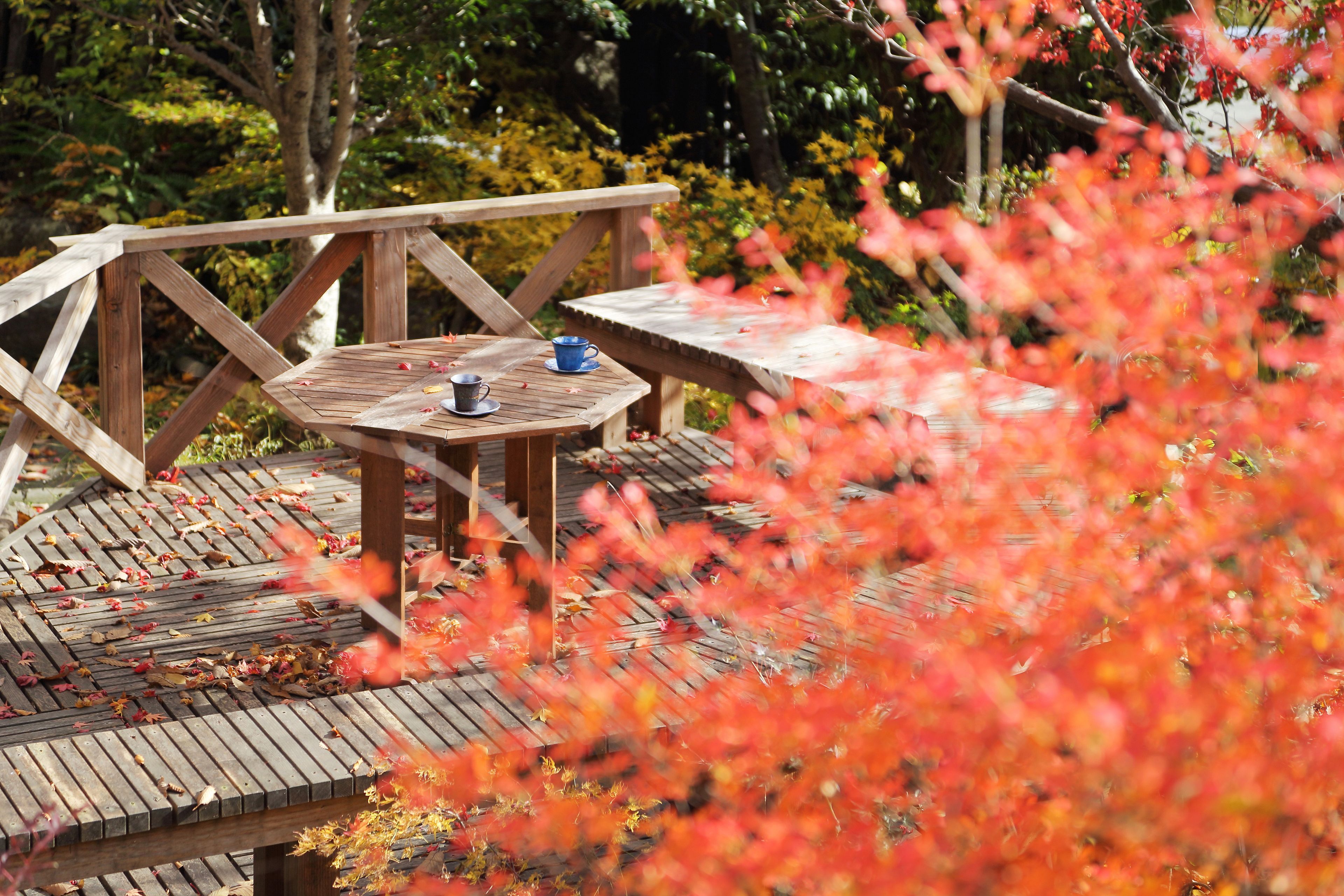 Une terrasse en bois avec une table et des chaises, entourée du feuillage automnal.