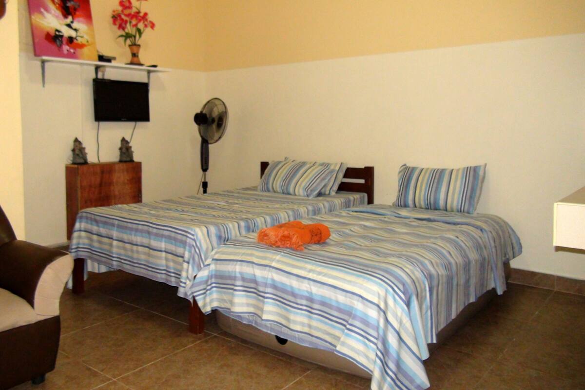 Ein Schlafzimmer mit zwei Betten, einem Fernseher, einem Ventilator und einem Sessel.