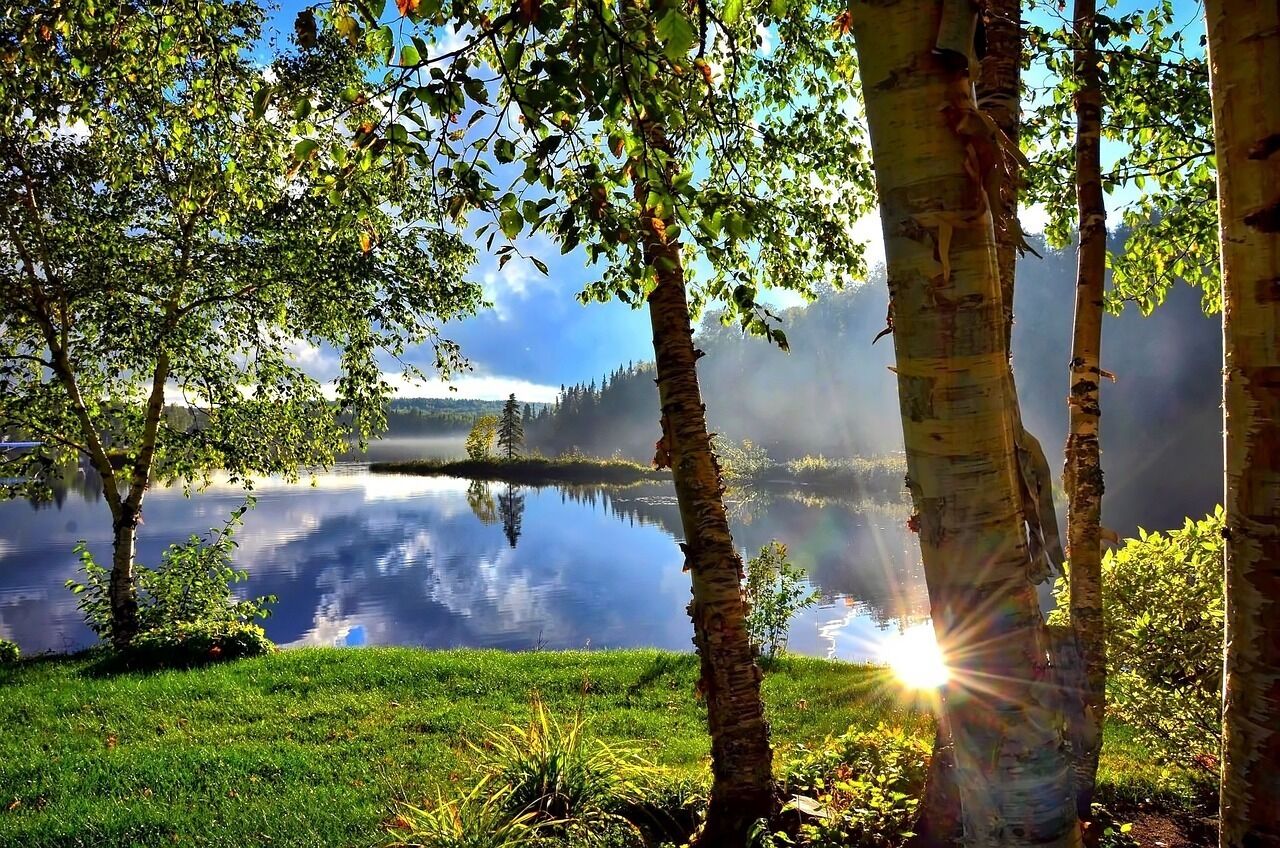 A serene lakeside scene with trees and a clear reflection on the water.