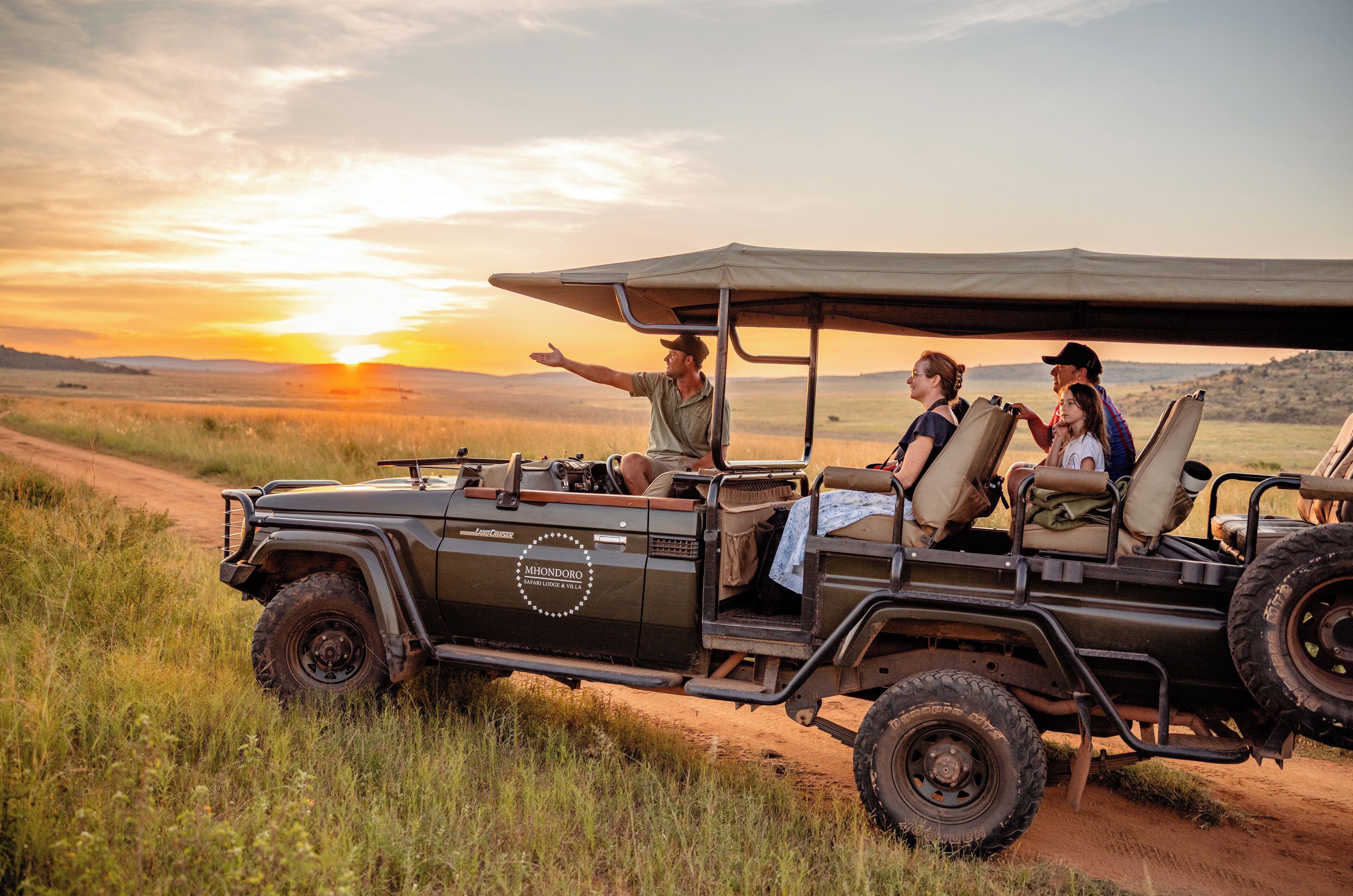 Safari