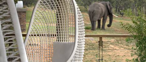 A hanging chair overlooking a natural landscape with an elephant in the background.