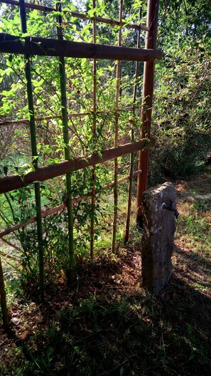 Área de parrillas y picnic