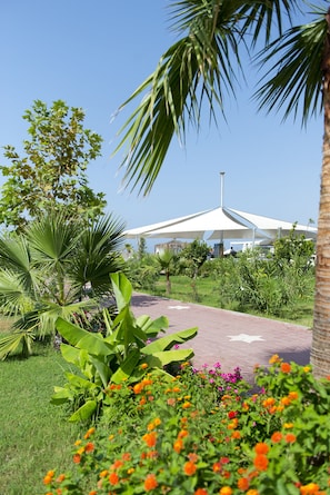 Privat strand, solsenger, parasoller og vannski
