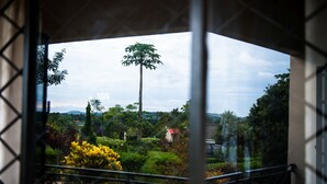 View from property - Soho Greens Apartments (Kampala)