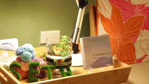 Un escritorio con una lámpara, un terrario de vidrio, una planta decorativa y un cuadro enmarcado.