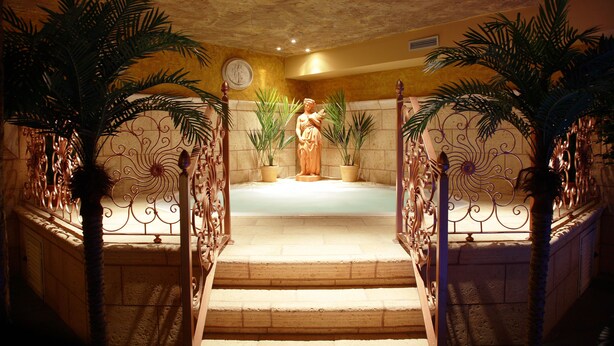 A grand staircase leading to a pool area with ornate metal railings and potted plants. - Posada Spa Privilegio de Vara (Noja)
