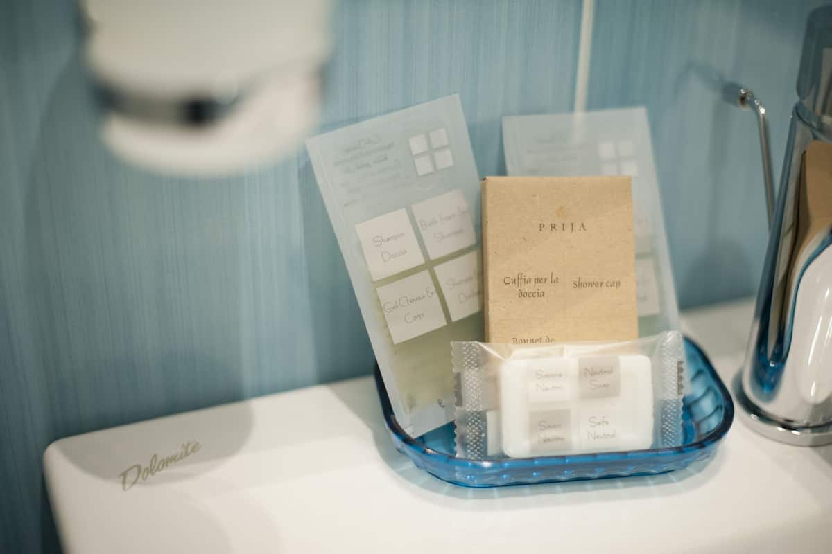 Shower, free toiletries, hair dryer, bidet