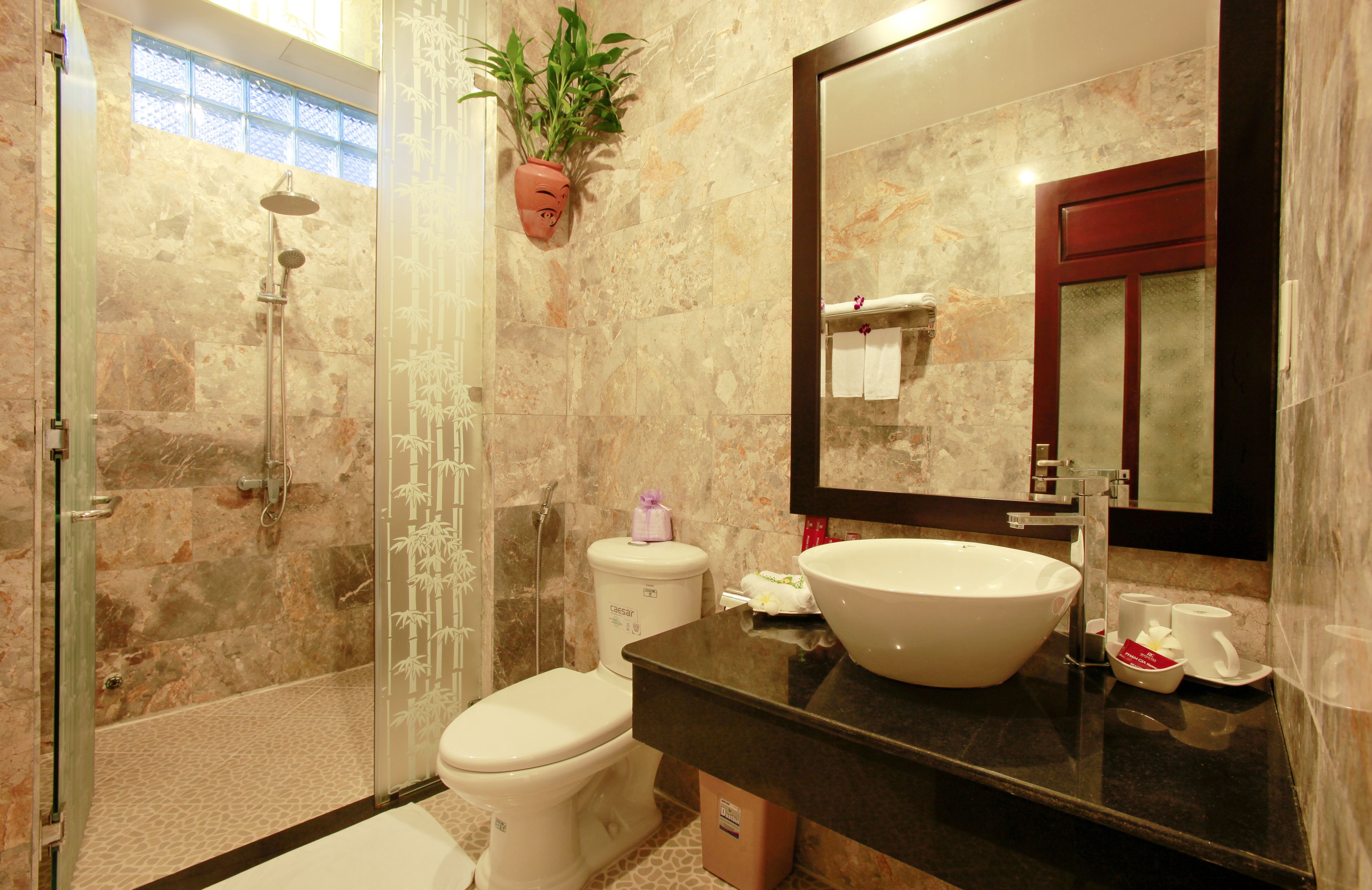Een badkamer met een douchecabine van glas, een wit toilet, een groot wastafelbakje, een spiegel en een kamerplant.