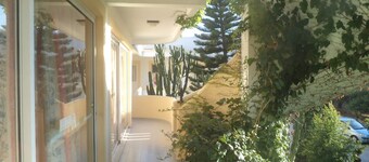Afentoulis Studios