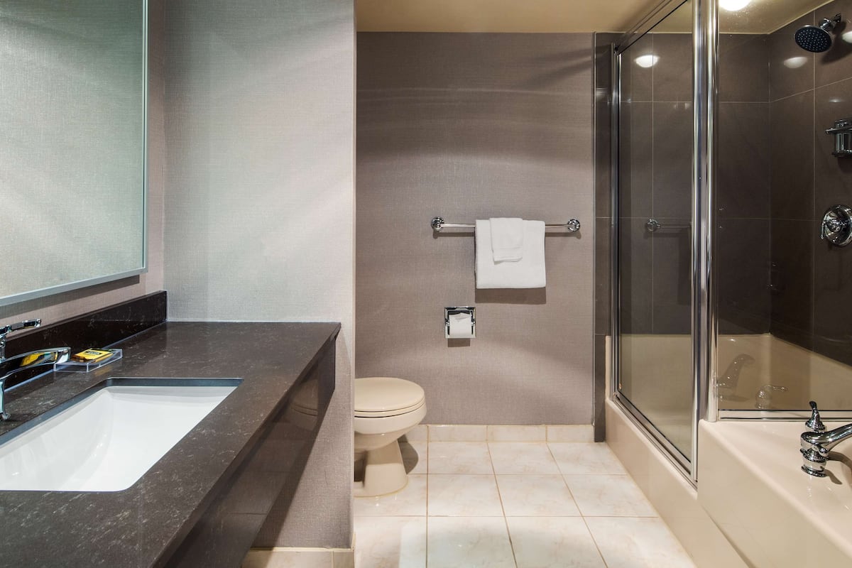 combined shower/bathtub, eco-friendly toiletries, hair dryer, towels