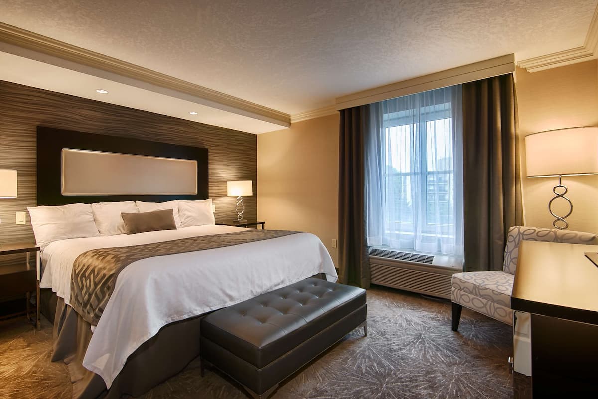 deluxe suite, 1 king bed, non smoking, jetted tub | iron/ironing board, rollaway beds, free wifi, bed sheets