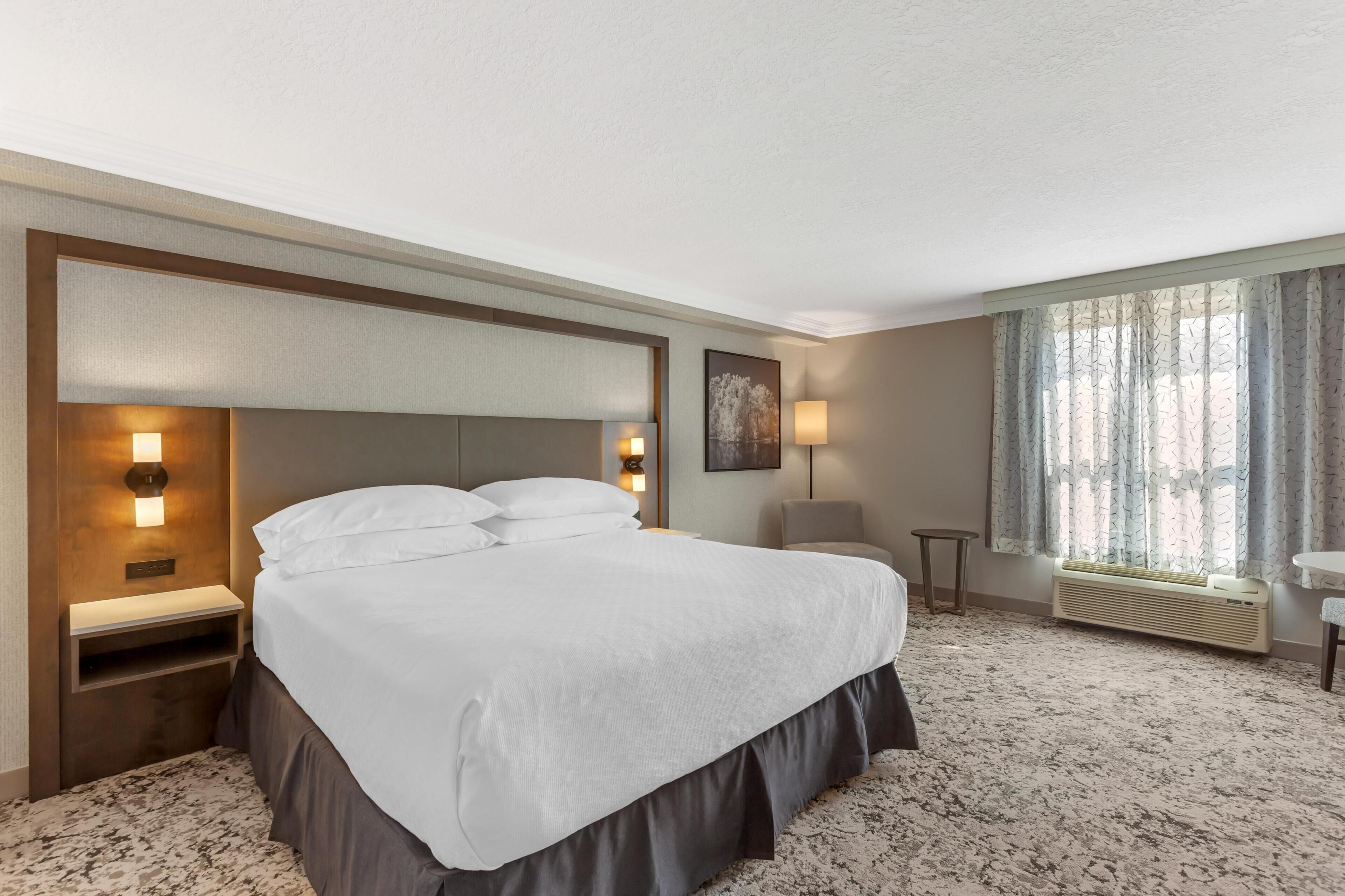 Standard Room, 1 King Bed, Accessible, Non Smoking (Walk-in Shower) | Iron/ironing board, rollaway beds, free WiFi, bed sheets