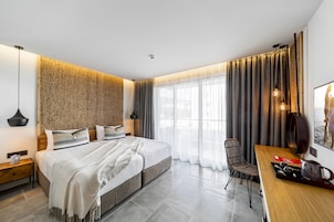 Habitación estándar doble, vistas al parque | Vistas desde la habitación