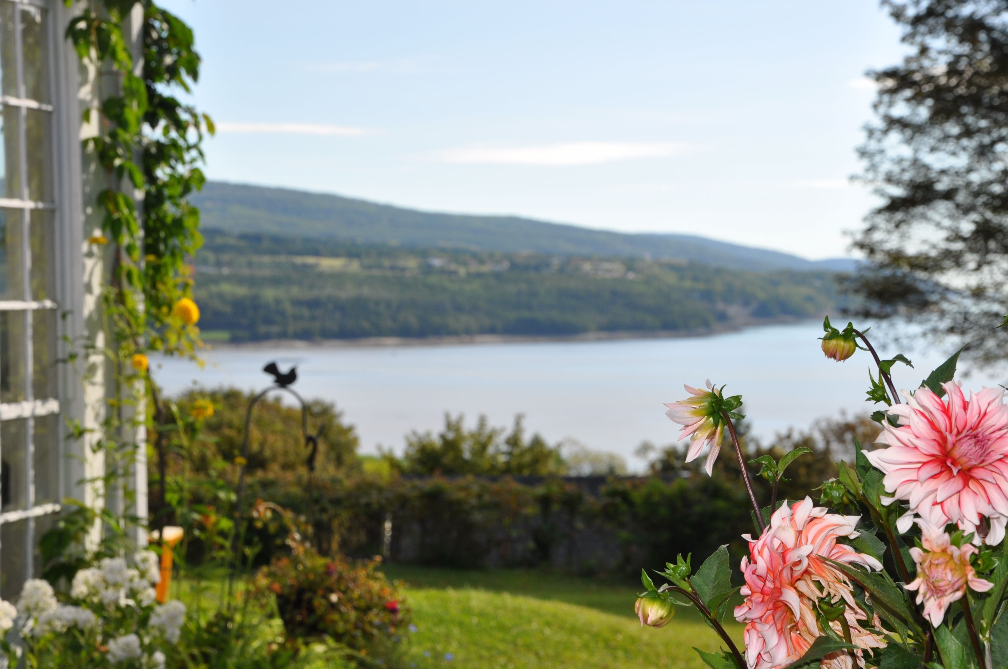 Vue depuis l’hébergement