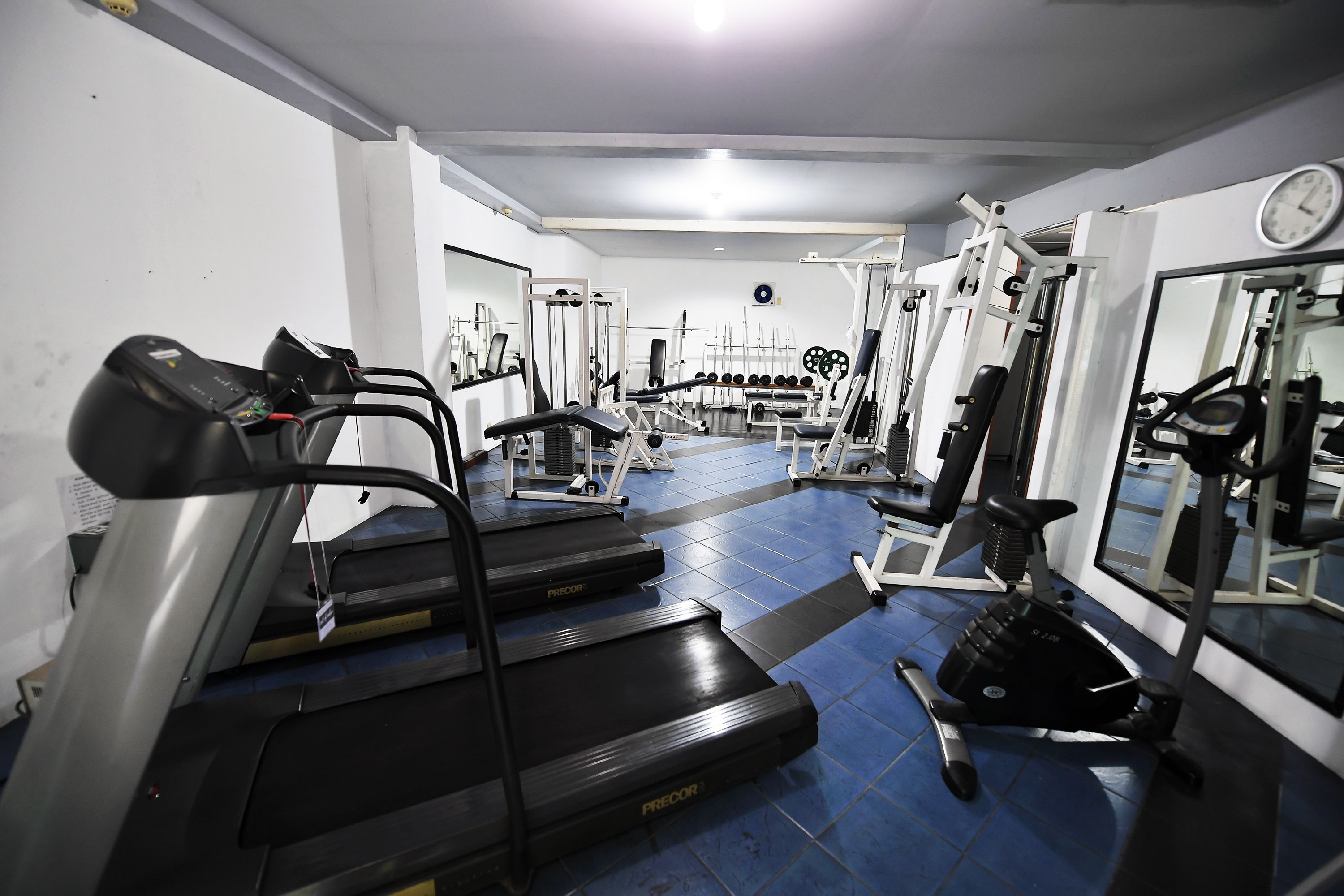 A gym with treadmills, weight machines, and free weights.