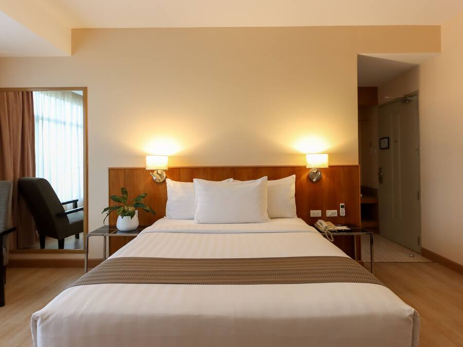Habitación de hotel con una cama grande, dos lámparas de noche, una silla, una mesita con una planta y un teléfono en la mesilla.