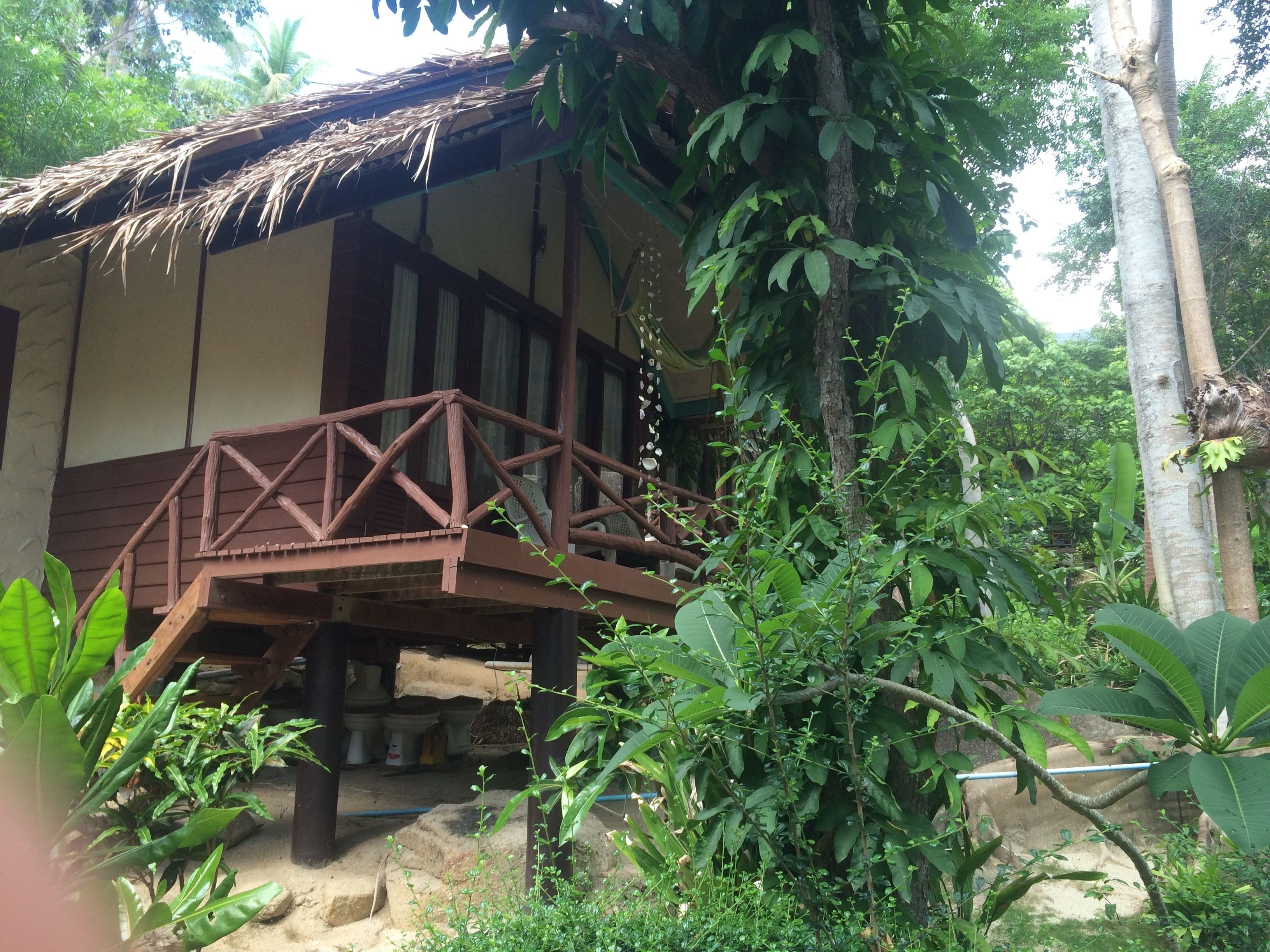 A traditional wooden house with a thatched roof, a wooden bridge, and lush greenery surrounding it.