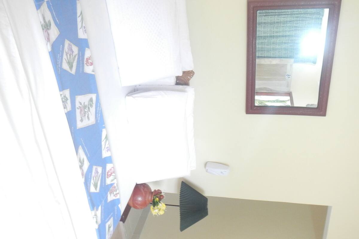 Comfort Double Room, 1 King Bed, Mountain View