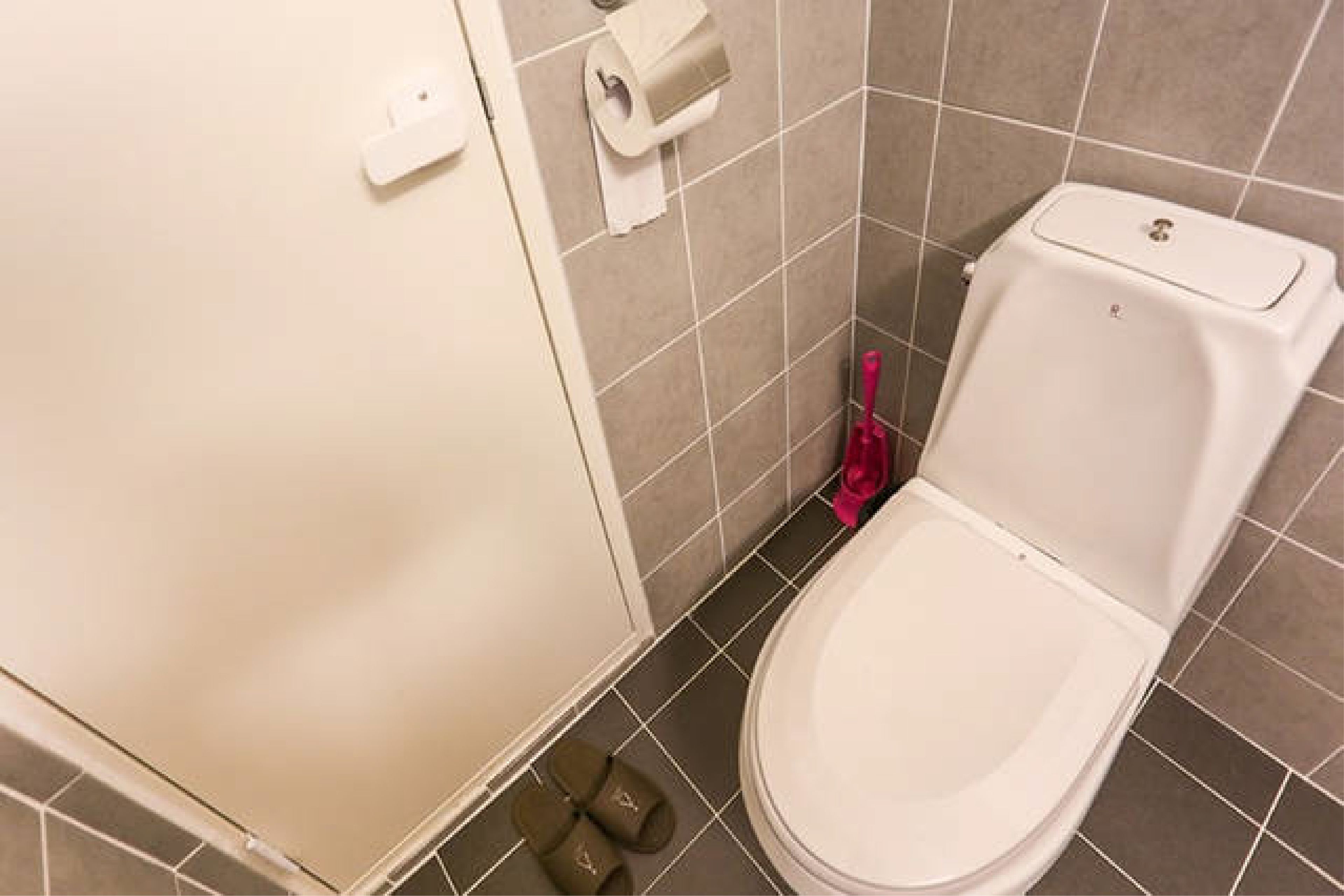 Une salle de bain équipée de toilettes, d’un distributeur d’essuie-tout et d’une brosse de nettoyage rose.