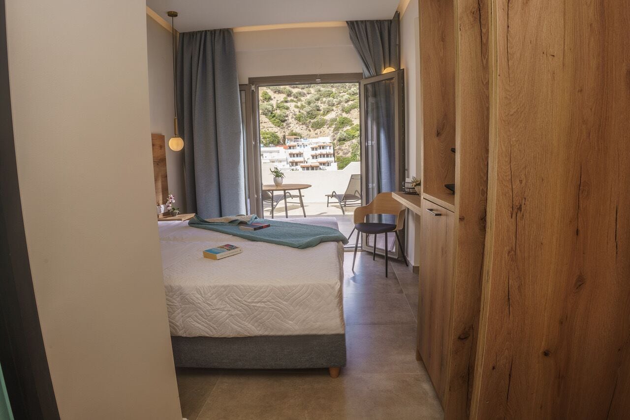 Deluxe Double or Twin Room | Hypo-allergenic bedding, minibar, individually furnished