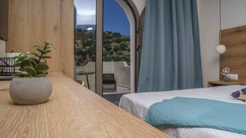 Deluxe Double or Twin Room | Hypo-allergenic bedding, minibar, individually furnished