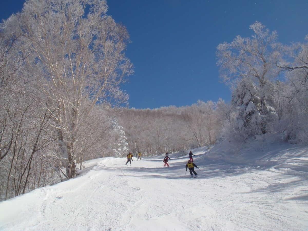 Una pista de esquí nevada con esquiadores y una colina boscosa al fondo.