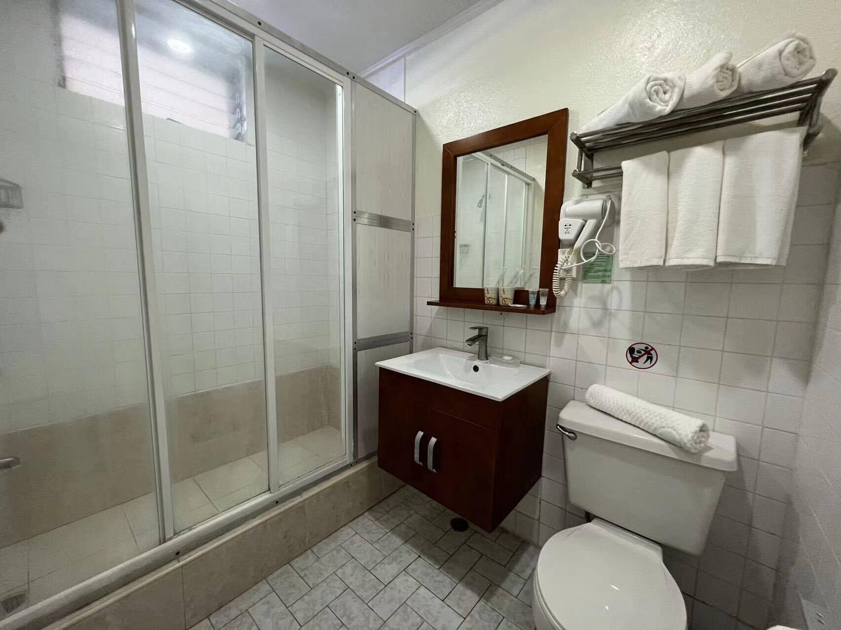A bathroom with a glass shower enclosure, a sink with a mirror above it, a toilet, and a towel rack with towels.