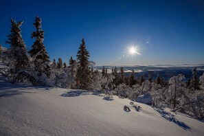 Exterior - Hornavan Hotell (Arjeplog)
