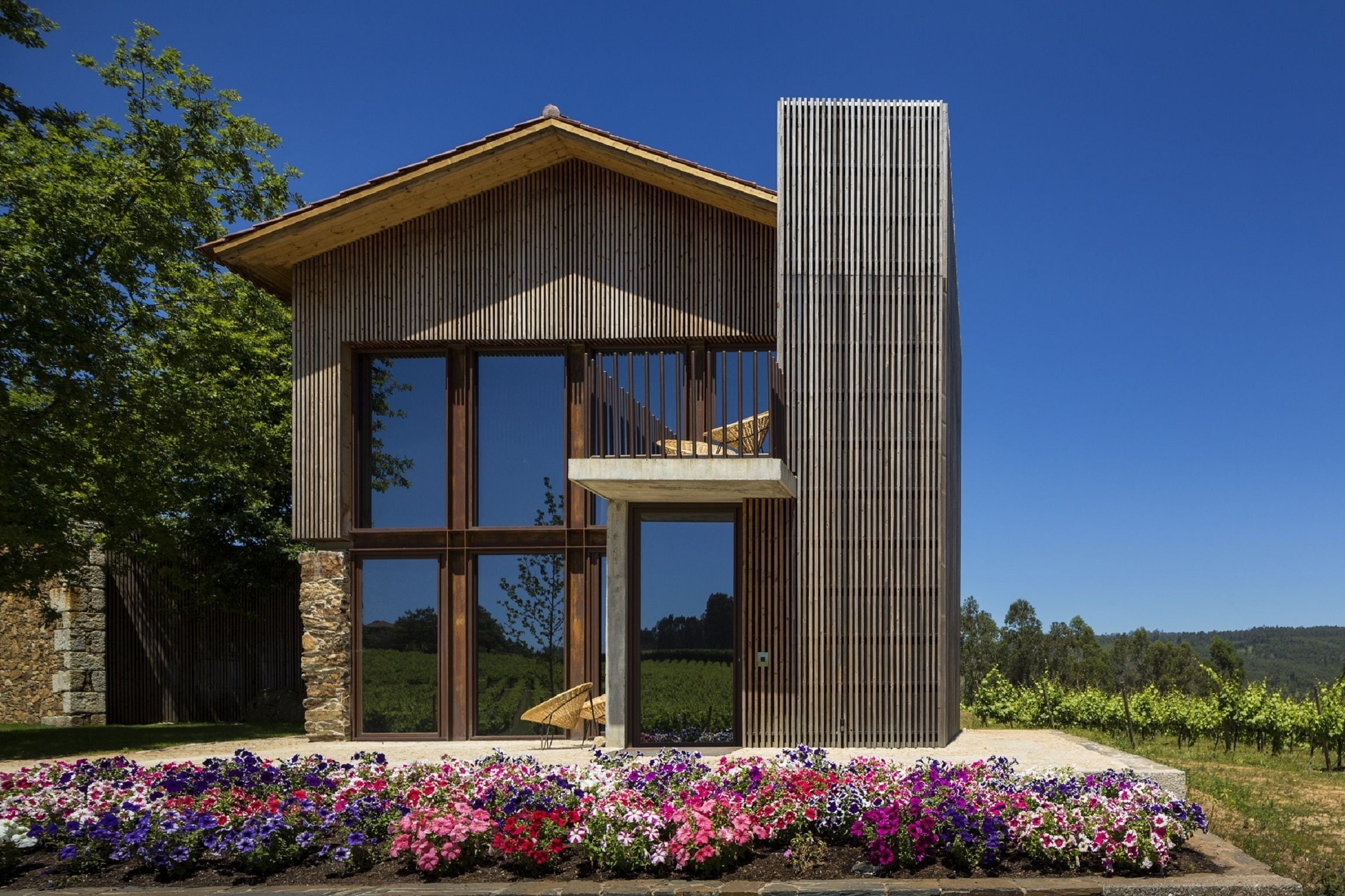 family suite | view from room