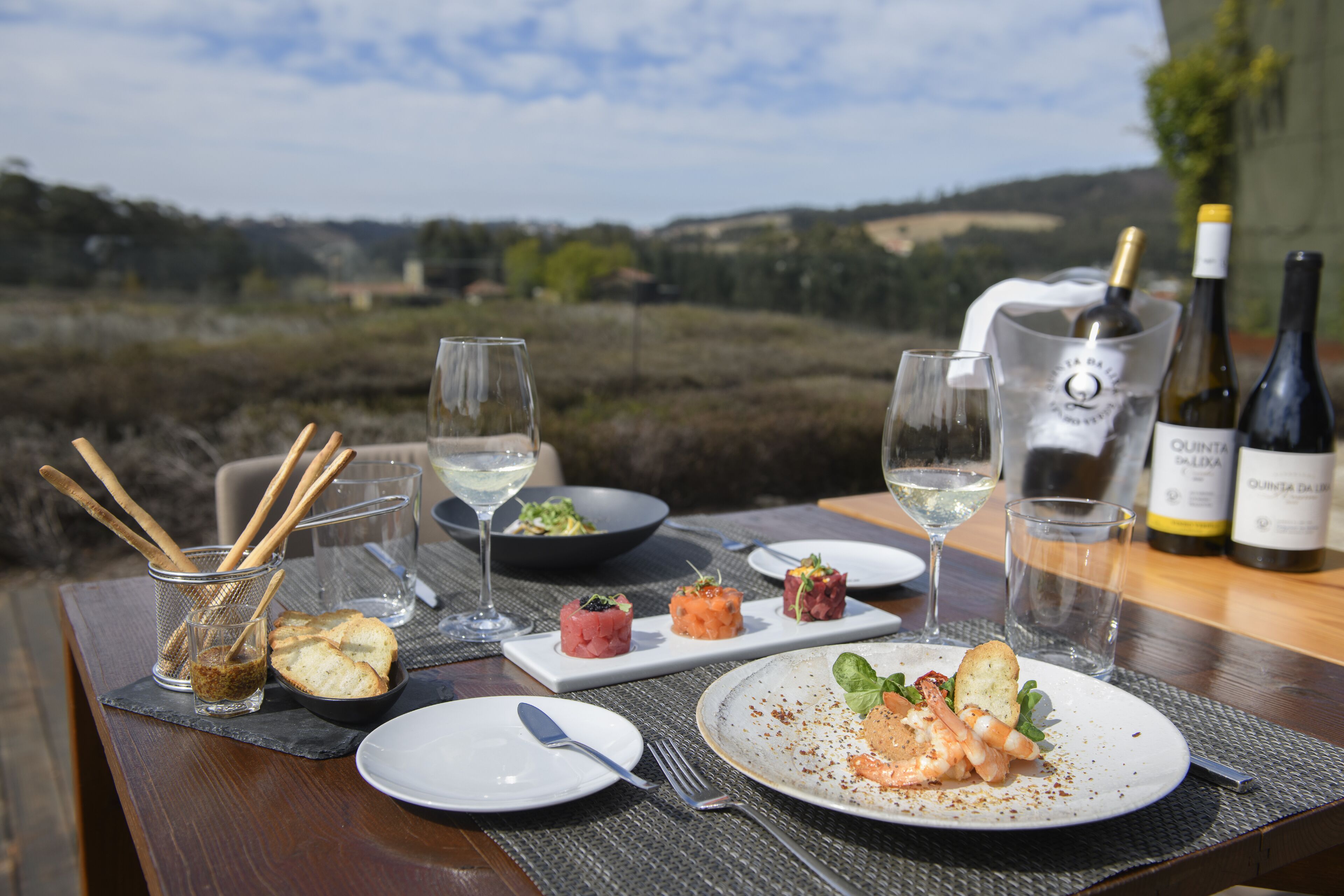 A dining table set with plates of food, glasses, and bottles of wine, overlooking a scenic landscape.