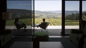 Amplia sala de estar con un gran ventanal corredizo que da a un balcón con vistas panorámicas de un viñedo.