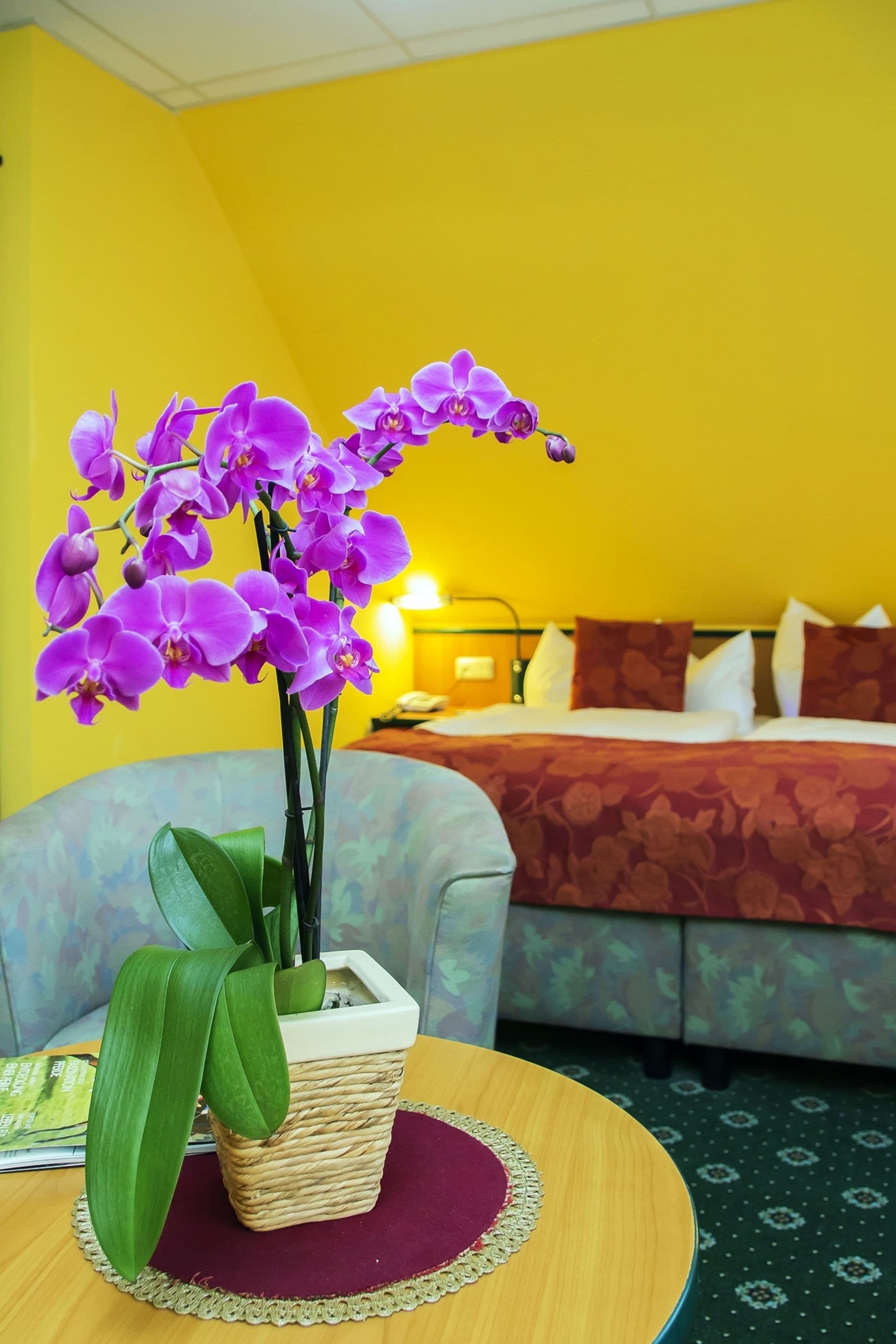 apartment (4 adults) | in-room safe, desk, iron/ironing board, free cots/infant beds