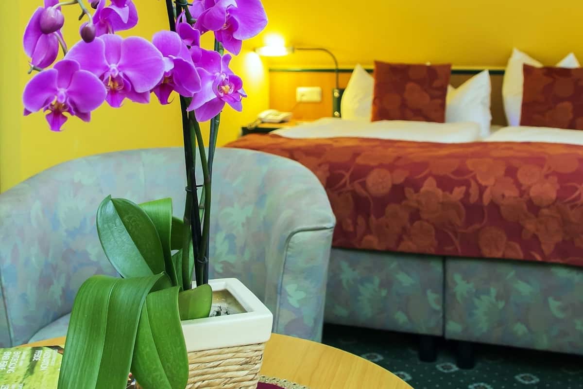 apartment (4 adults) | in-room safe, desk, iron/ironing board, free cots/infant beds