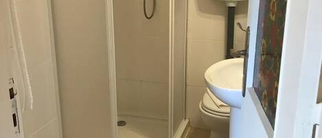 A bathroom with a shower enclosure, toilet, and a sink.