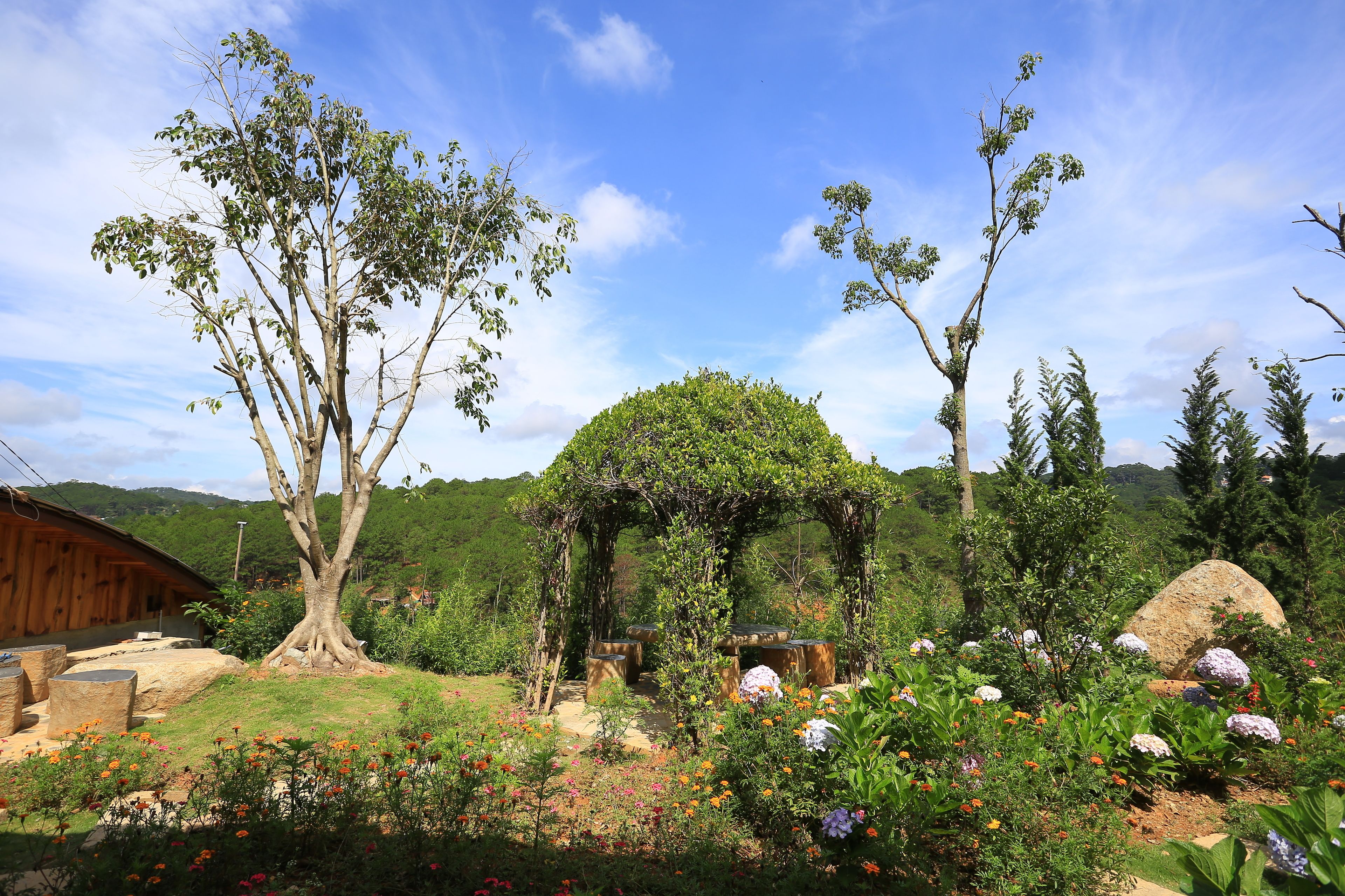Pemandangan dari properti