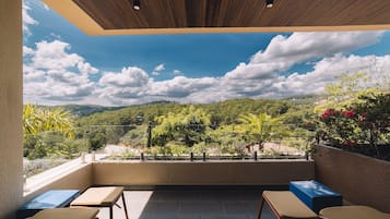 Deluxe Triple Room, Mountain View | Terrace/patio