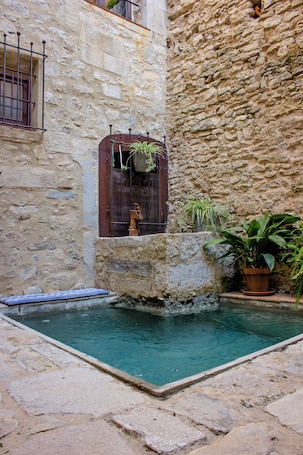 AS Palau dels Alemanys