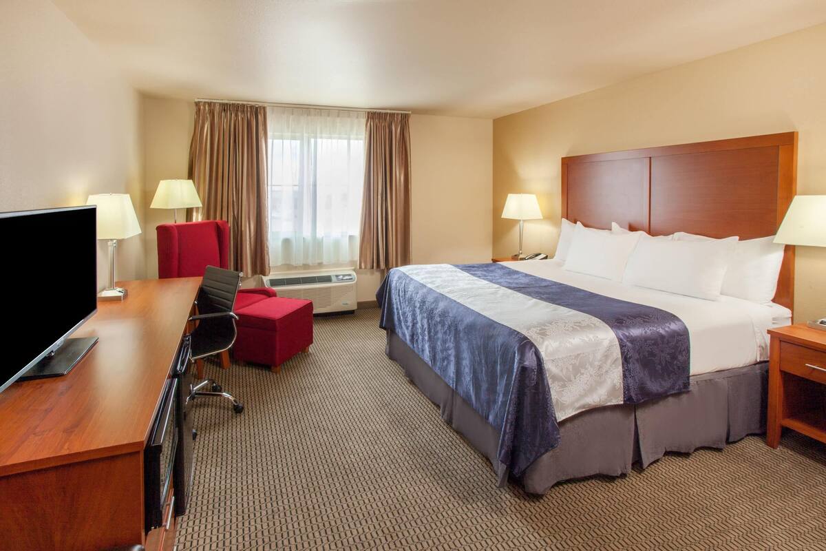 A hotel room with a bed, a desk with a TV, a chair, a lamp, and a window with curtains.