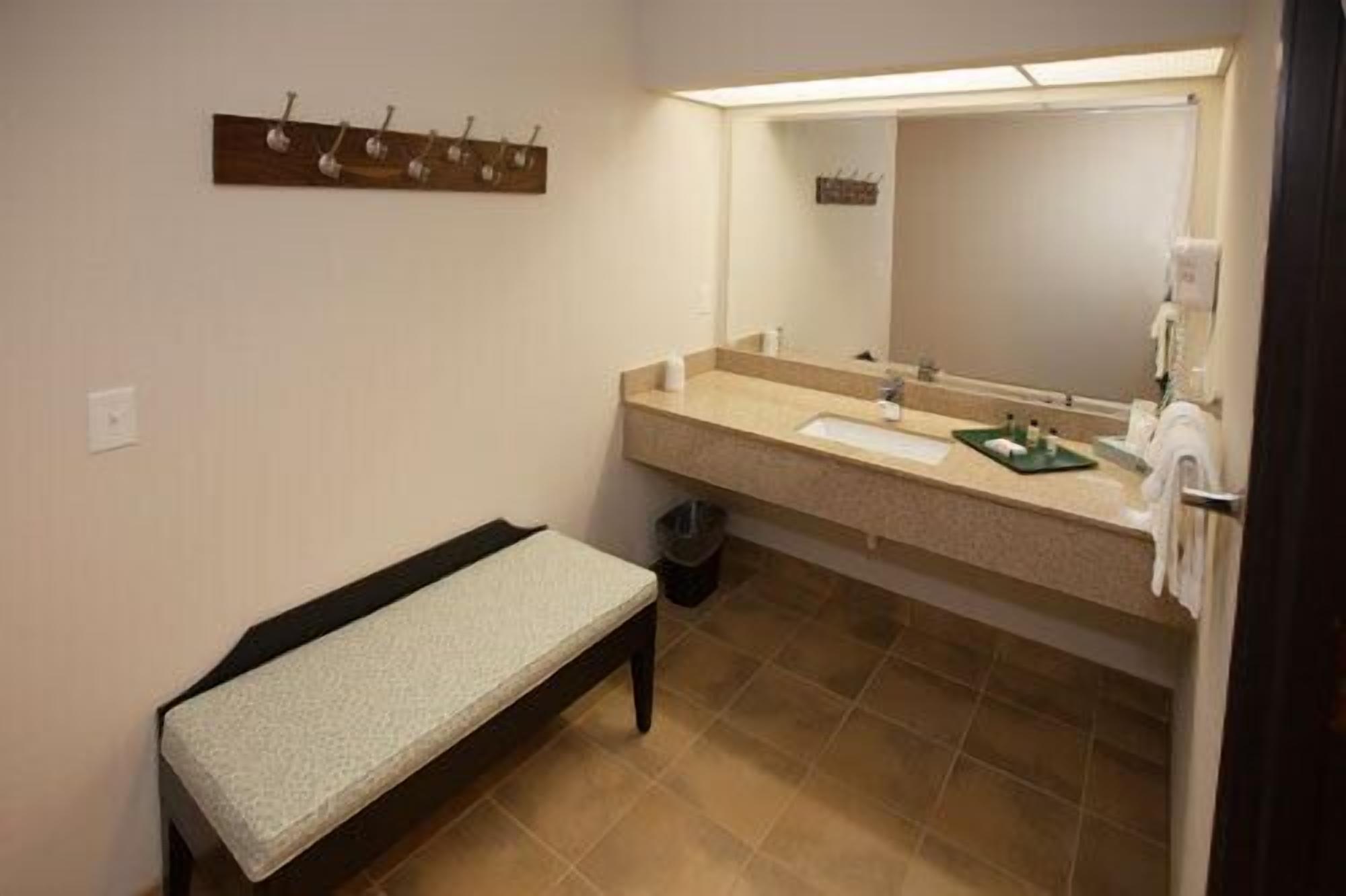 deluxe suite, 1 king bed with sofa bed, balcony, golf view | bathroom | shower, free toiletries, hair dryer, towels