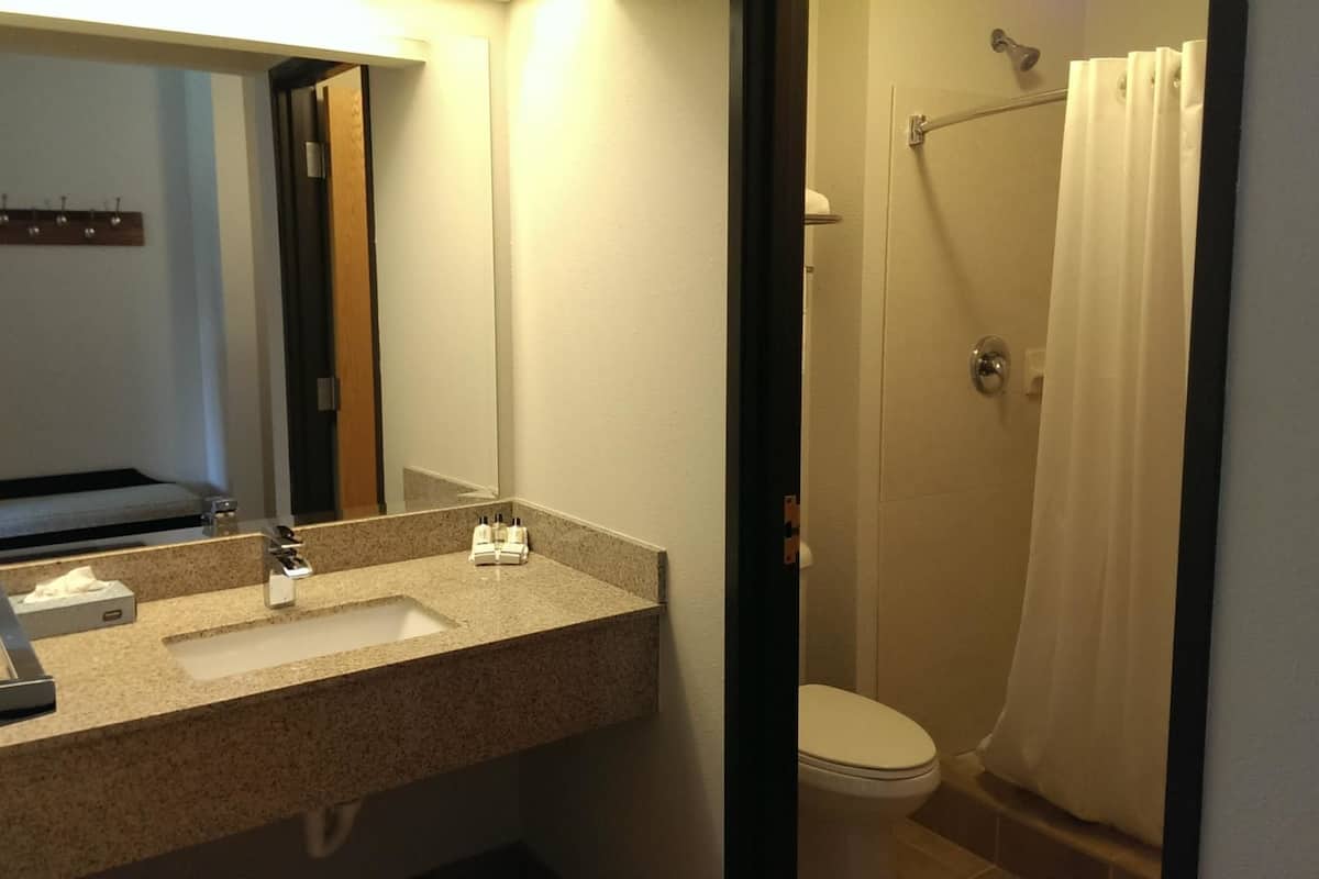 shower, free toiletries, hair dryer, towels