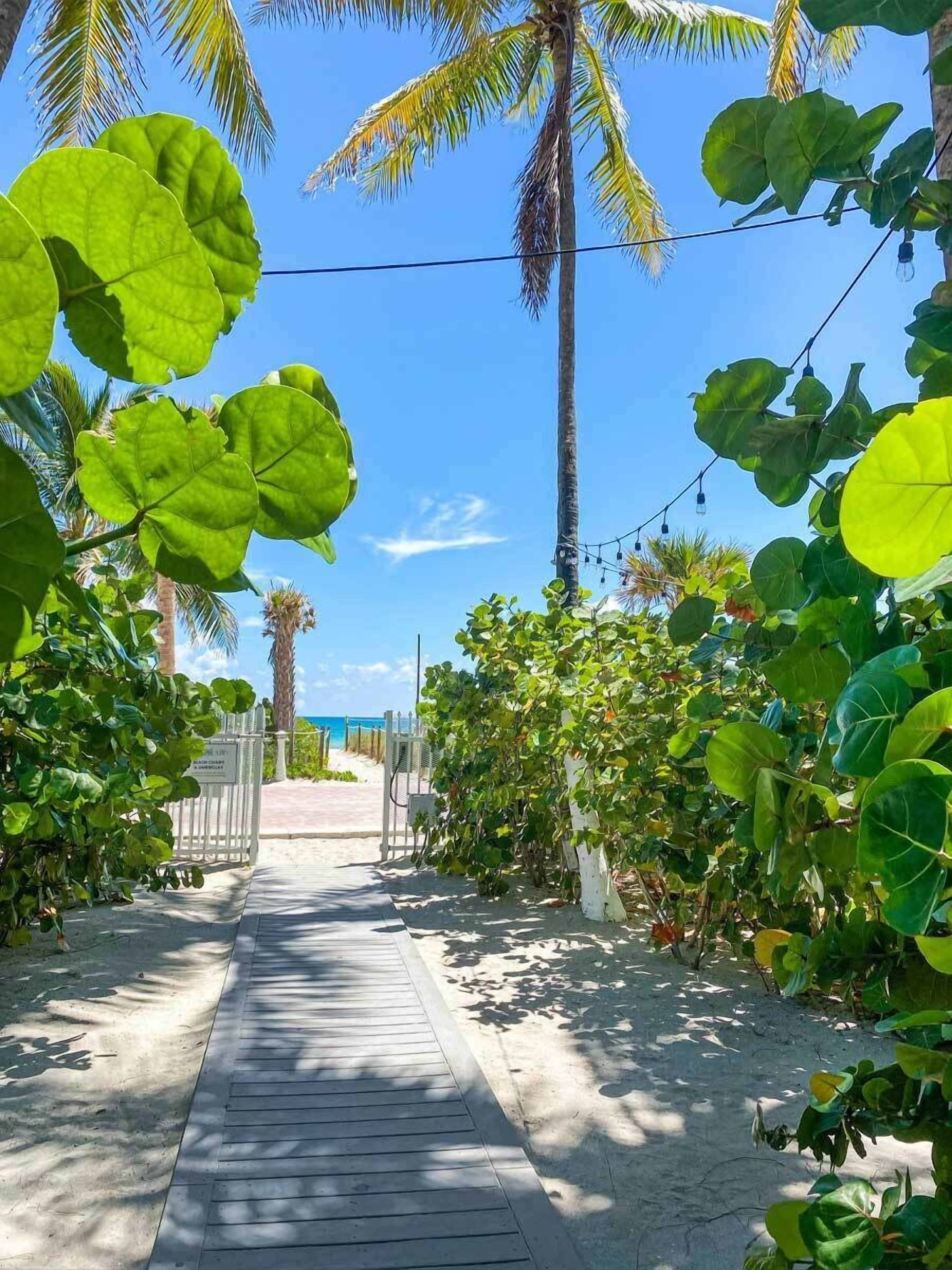 A wooden pathway leading to a beach, surrounded by lush greenery and palm trees.
